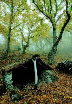 Capanna dei cercatori di castagne in autunno, sopra Arcidosso